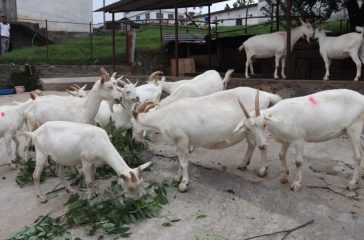 AnjaliThapa_Hetauda_