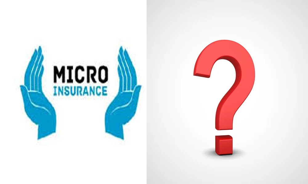 Micro Insurance