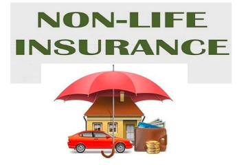 non life insurance photo