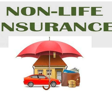 non life insurance photo