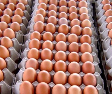 eggs