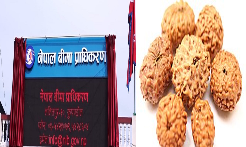 Beema Pradhakaran Beema Pradhakaran