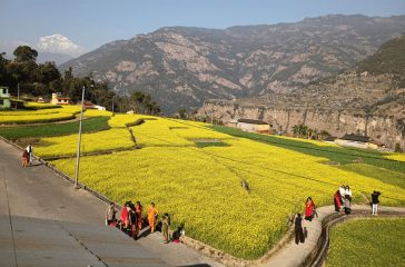 Magdi Tikota