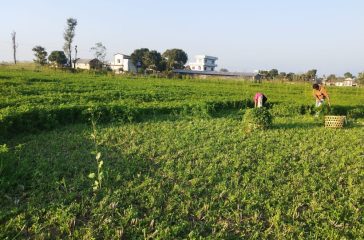 Photo-1-7-scaled-e1737886541837