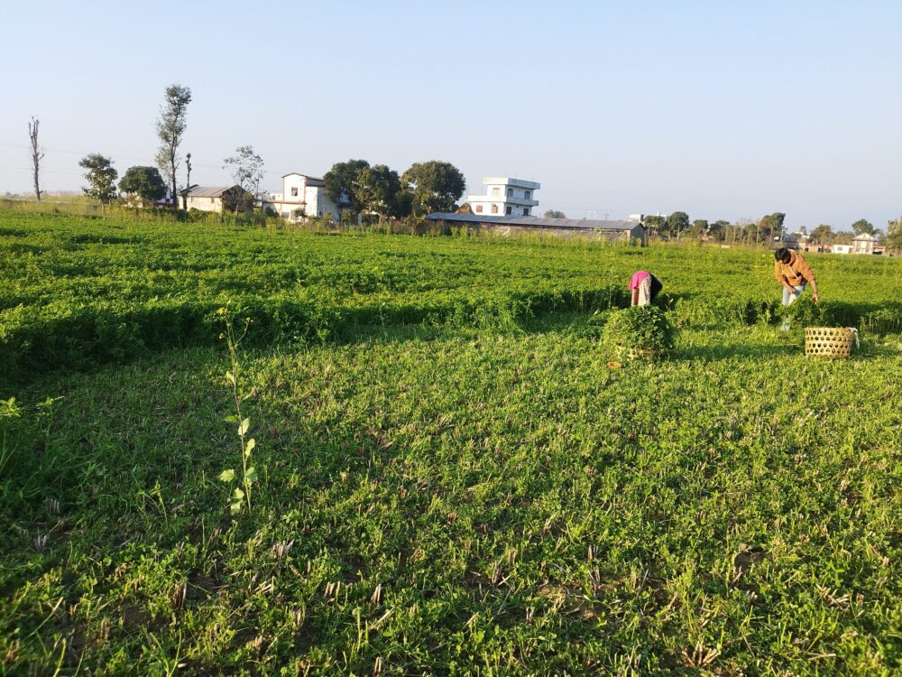 Photo-1-7-scaled-e1737886541837