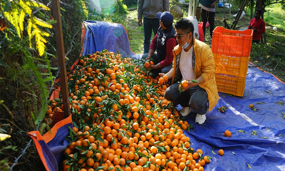 Bikesh Shrestha Suntala