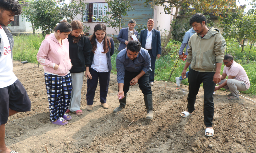 Chitwan Chitwan