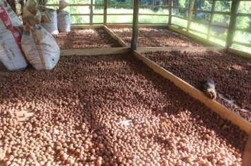 IMG_3721-scaled-e1739767134231