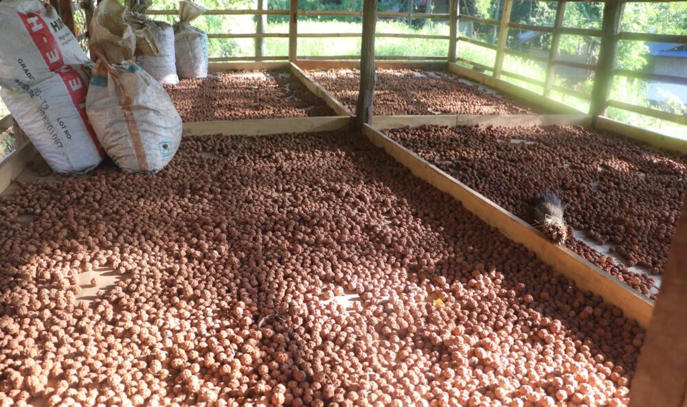 IMG_3721-scaled-e1739767134231