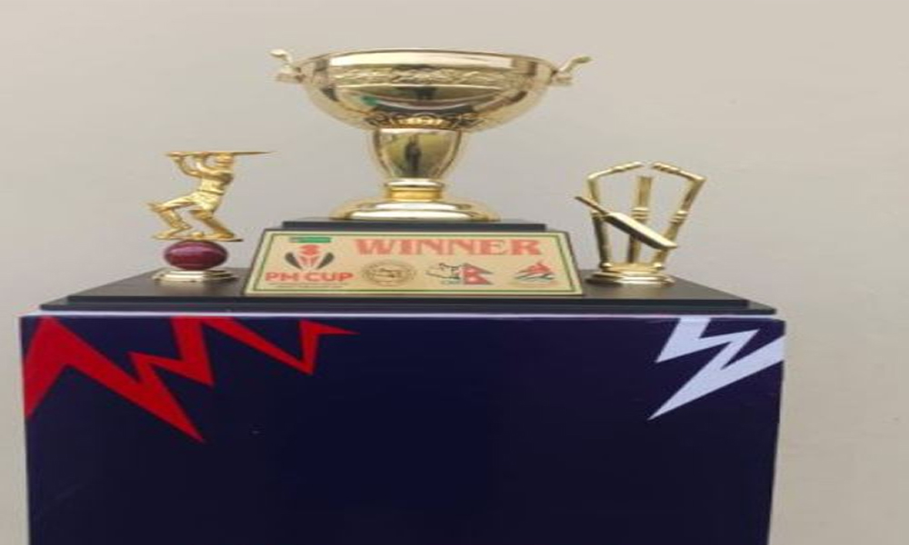 Pm Cup Pm Cup