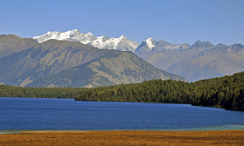 Rara Rara