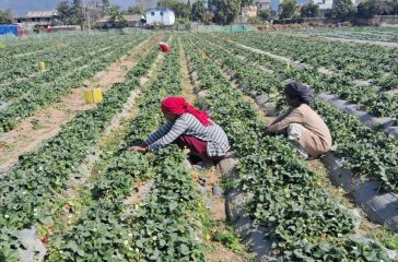 photo-2-e1740285964744