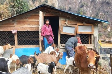 rr-scaled-e1739786051556