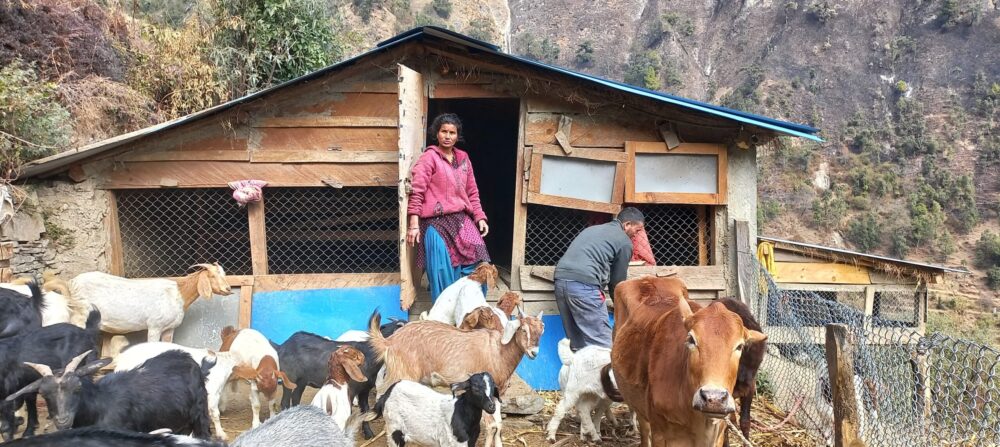 rr-scaled-e1739786051556