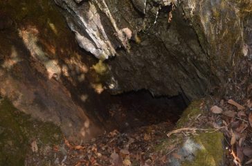 thadakhani-ko-surung-