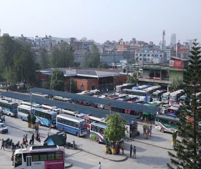 Bushapark-