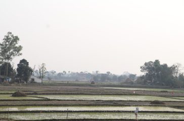 IMG_1443-scaled-e1740967789486