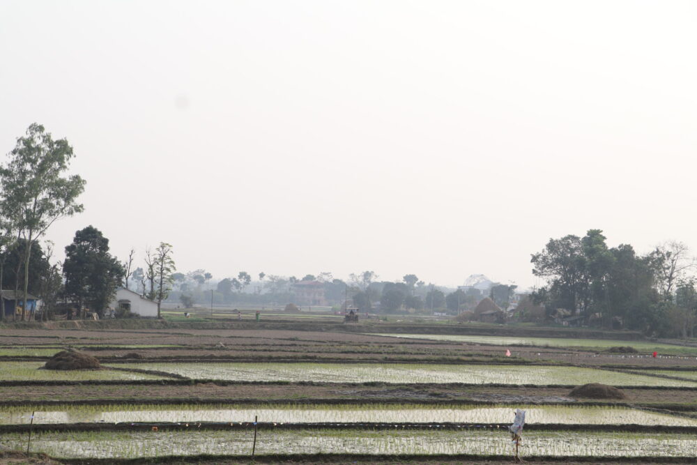 IMG_1443-scaled-e1740967789486