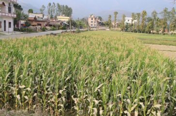 IMG_5922-scaled-e1742278137238