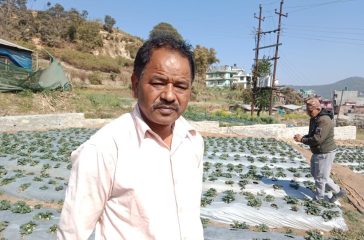 Strawbrrey_Mukti-_Kavre