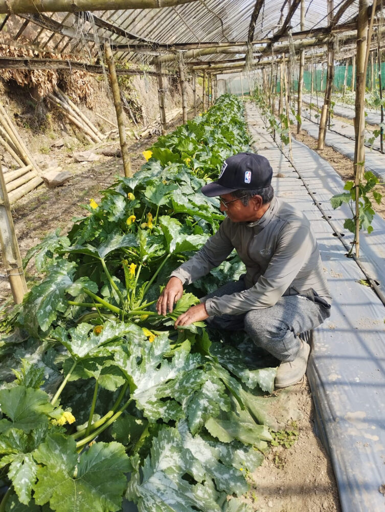 Tarkari-kheti-photo--scaled-e1742377274492