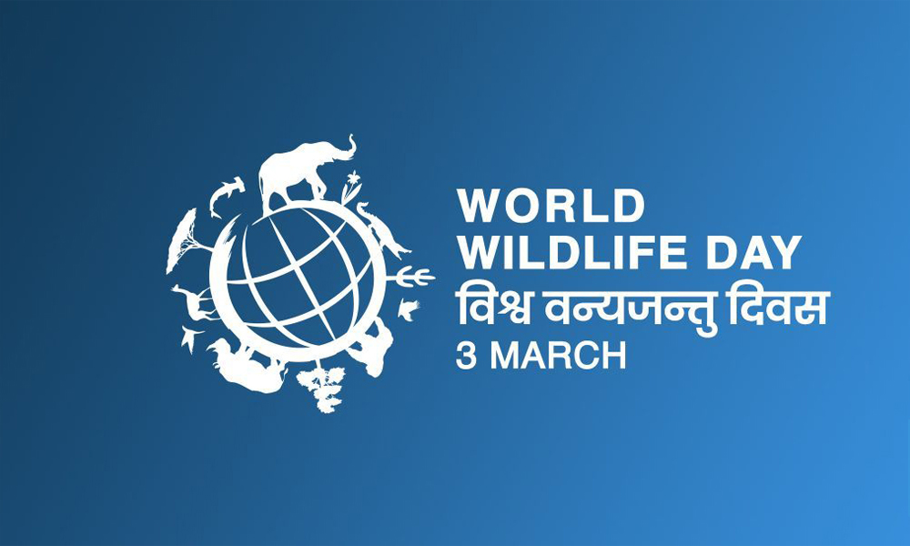 World Wildlie Day