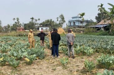 anoananean¦aNC-anaan¿aNuanuanan