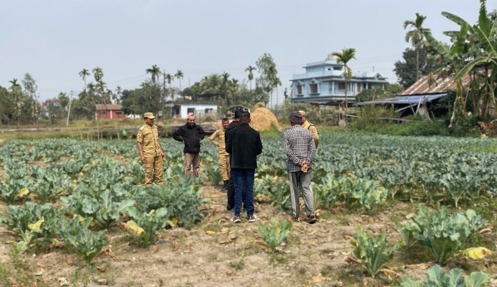 anoananean¦aNC-anaan¿aNuanuanan