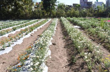 photo-scaled-e1741064761370