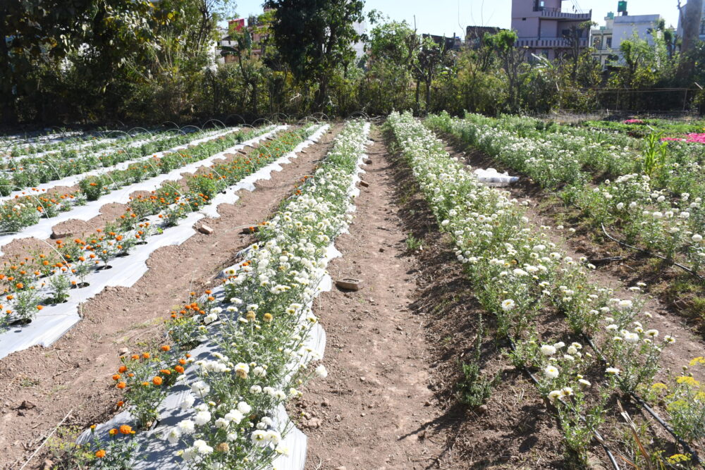 photo-scaled-e1741064761370