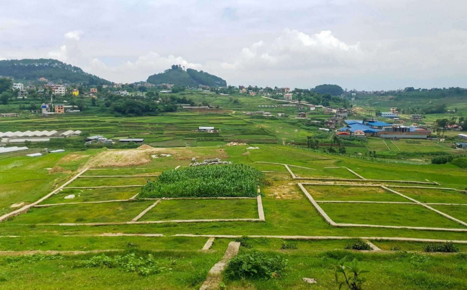 land