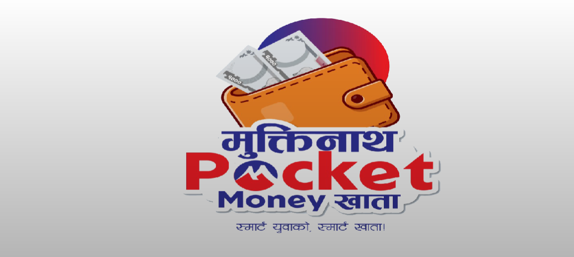pocket pocket