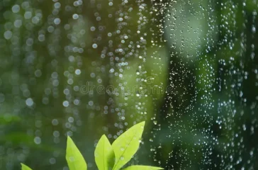 raining
