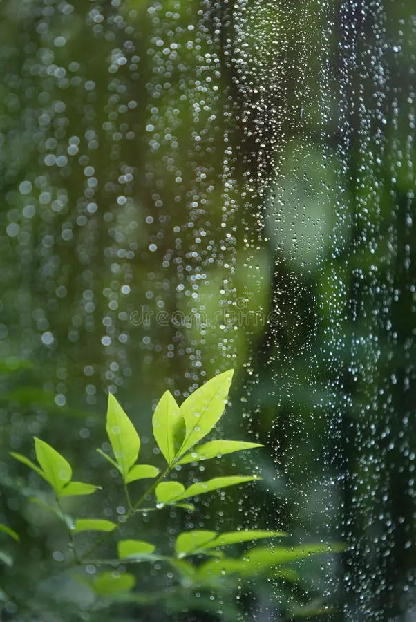 raining raining