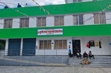 dhading ripura sundari