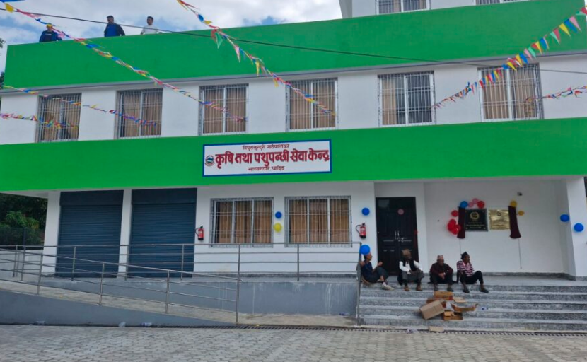 dhading ripura sundari