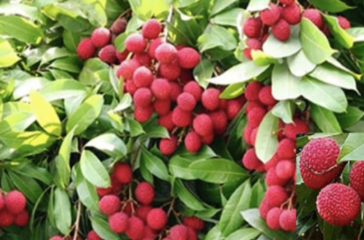 Screenshot 2025-06-27 222713