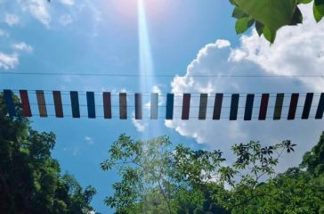 0fc32106-04a0-499a-96b8-c178ebe8cbec