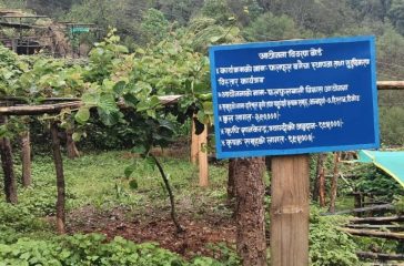 17b60735-6eed-416e-9239-3d971e76bebf