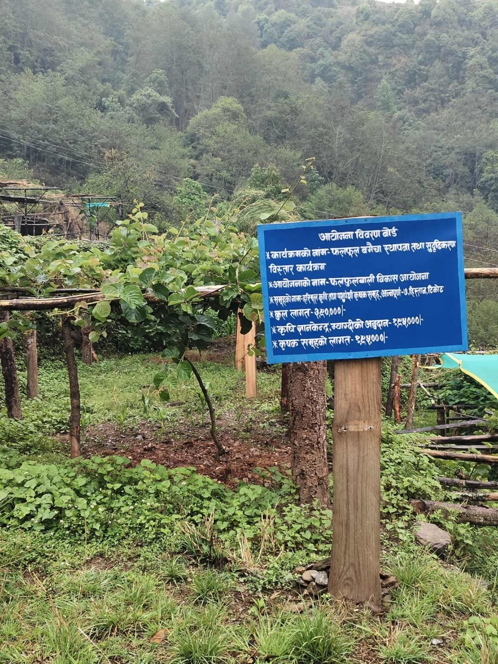 17b60735-6eed-416e-9239-3d971e76bebf