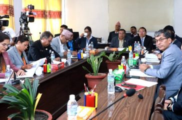 5203306d-8d1d-453e-9574-26fdad996231