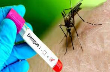 Screenshot 2025-07-10 152413