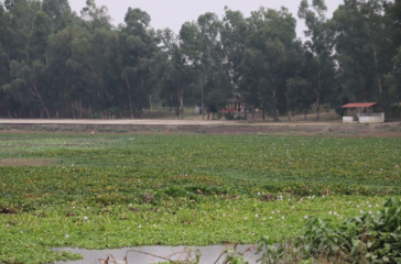 Screenshot 2025-07-15 145736