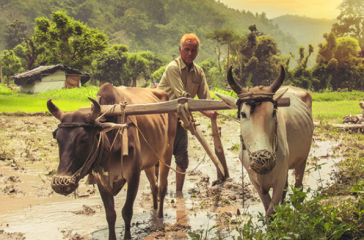 Screenshot 2025-07-20 124441