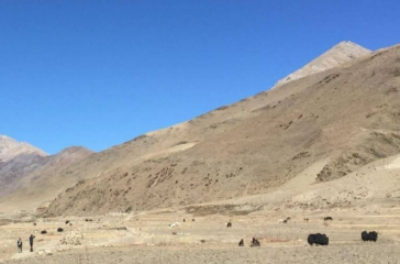 Screenshot 2025-07-25 111145