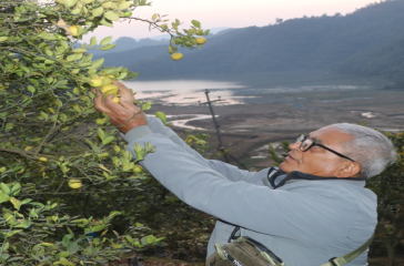 Screenshot 2025-07-29 130402