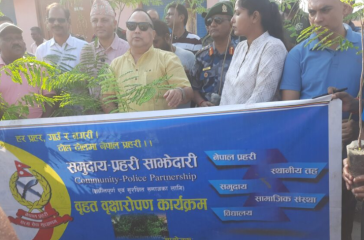 Screenshot 2025-07-31 130643