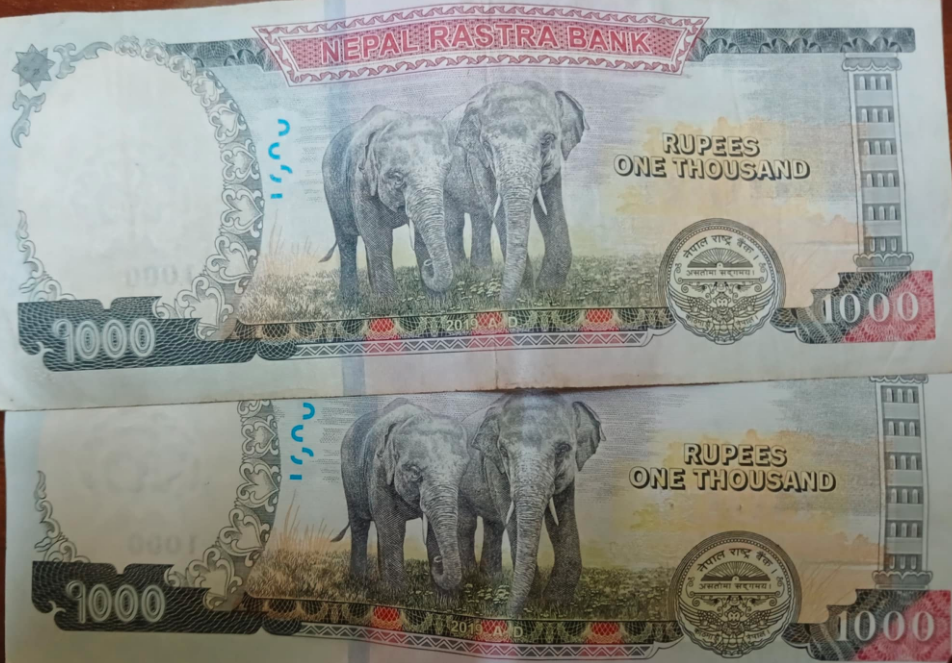 cash, paisa cash, paisa