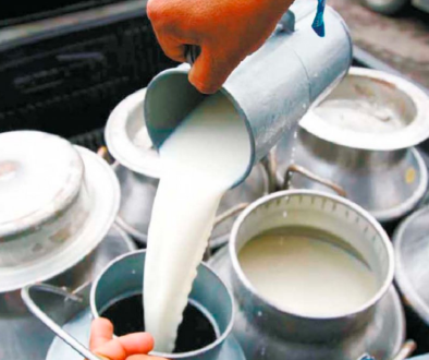 milk