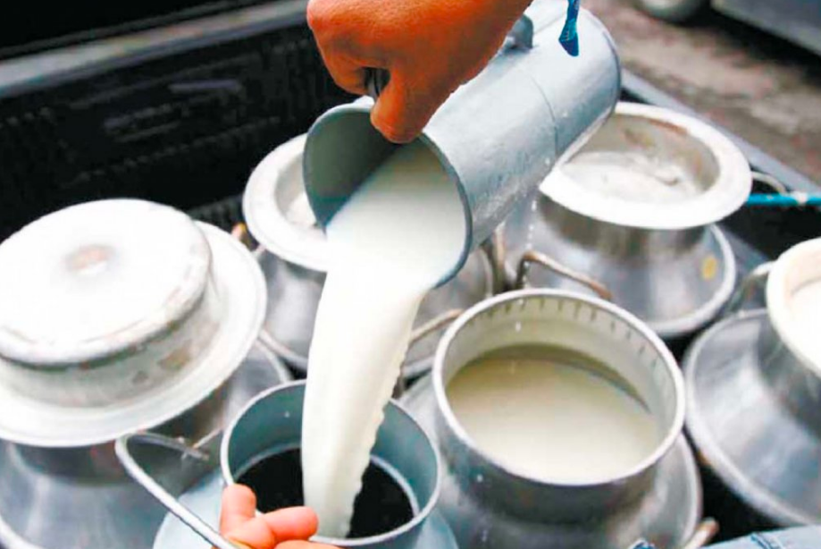 milk milk